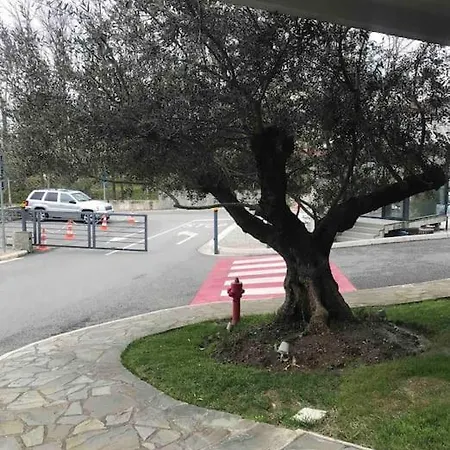 Appartement Spacious In Luxury Tirana